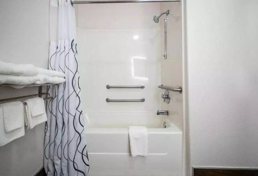 The Leo Collection Detroit, Ascend Hotel Collection