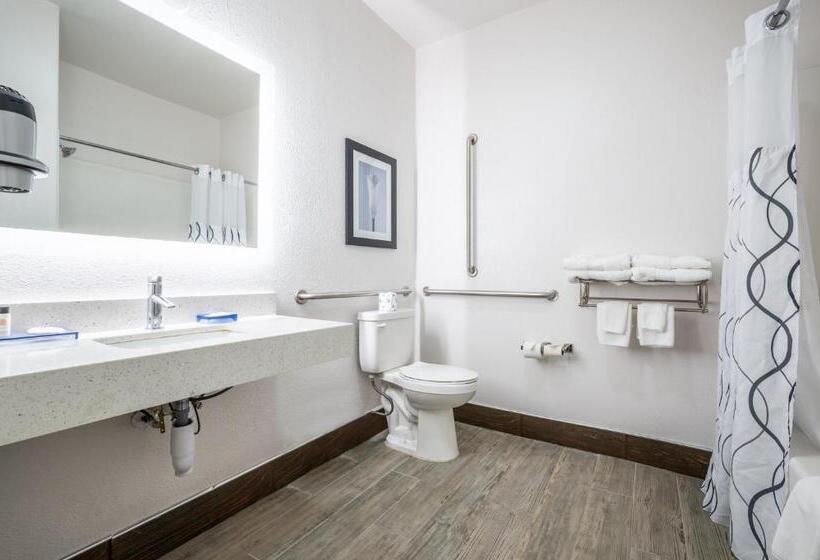 The Leo Collection Detroit, Ascend Hotel Collection