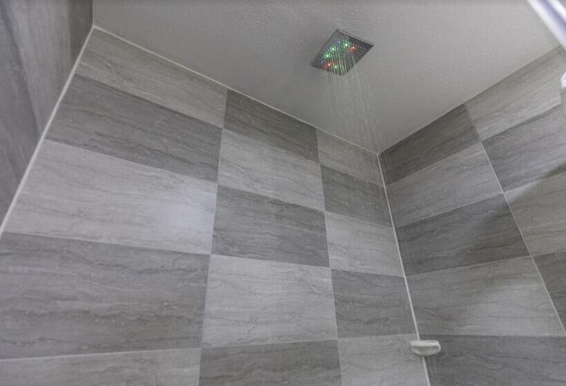 The Leo Collection Detroit, Ascend Hotel Collection