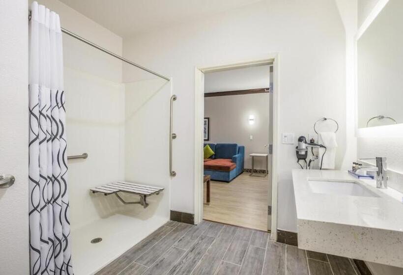 The Leo Collection Detroit, Ascend Hotel Collection