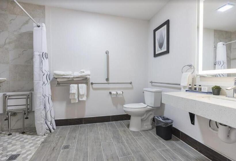 The Leo Collection Detroit, Ascend Hotel Collection