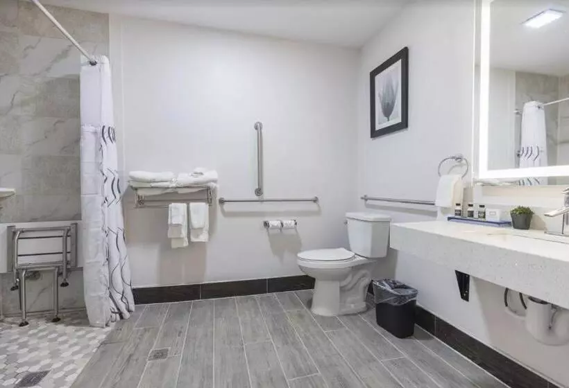 The Leo Collection Detroit, Ascend Hotel Collection