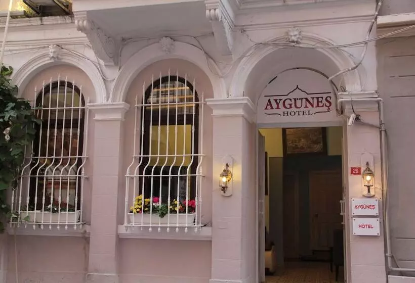 Hotel Aygunes