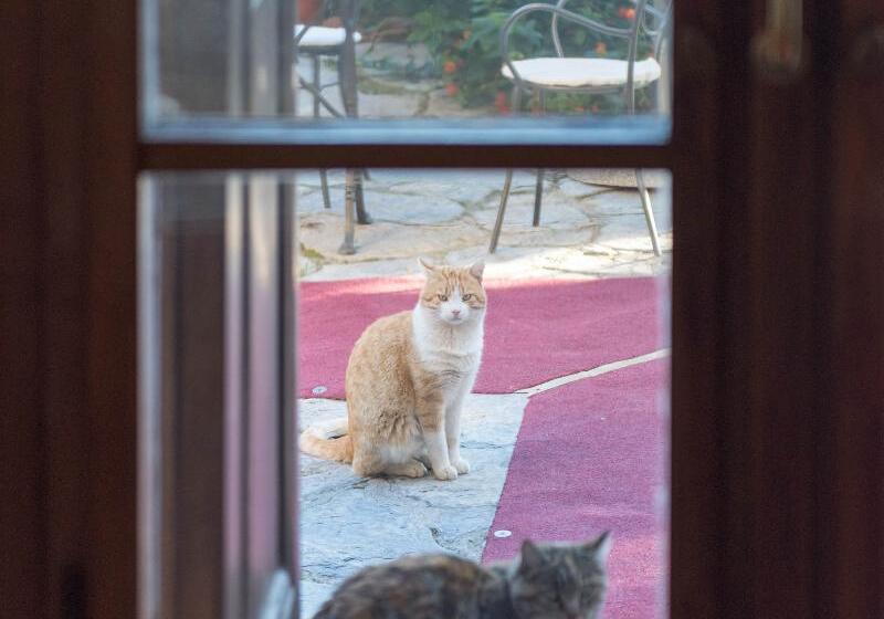 בית מלון כפרי Tenuta La Bandita