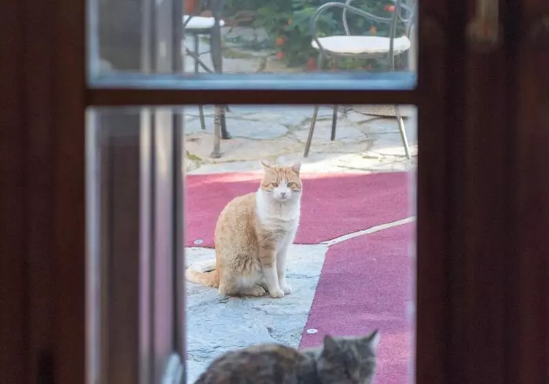 酒店 Tenuta La Bandita