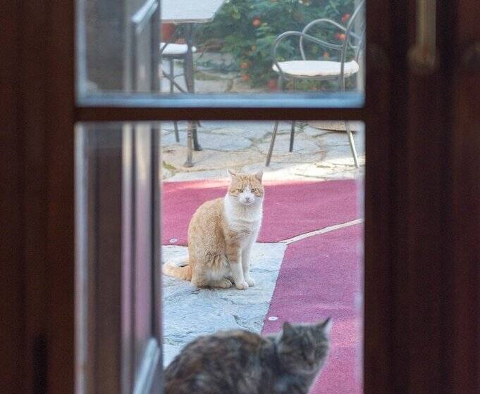 בית מלון כפרי Tenuta La Bandita