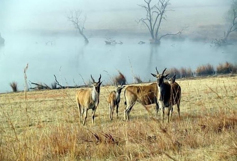 هتل Elandskloof Trout Farm