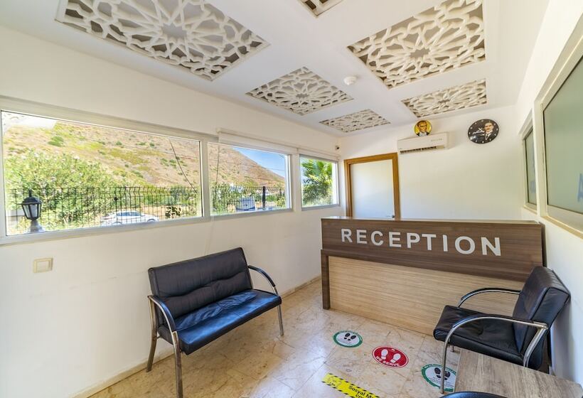 酒店 Adrasan Beach Club