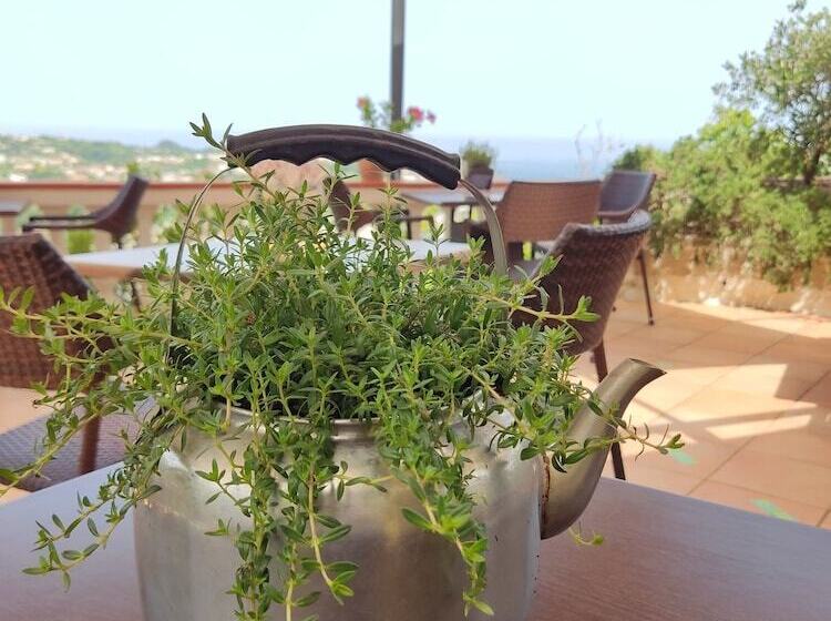 ホテル Ape Regina