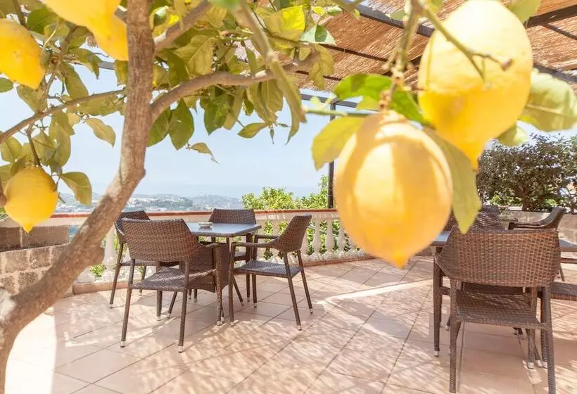 Отель Ape Regina