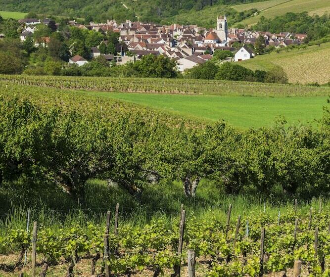 فندق Cerise Auxerre