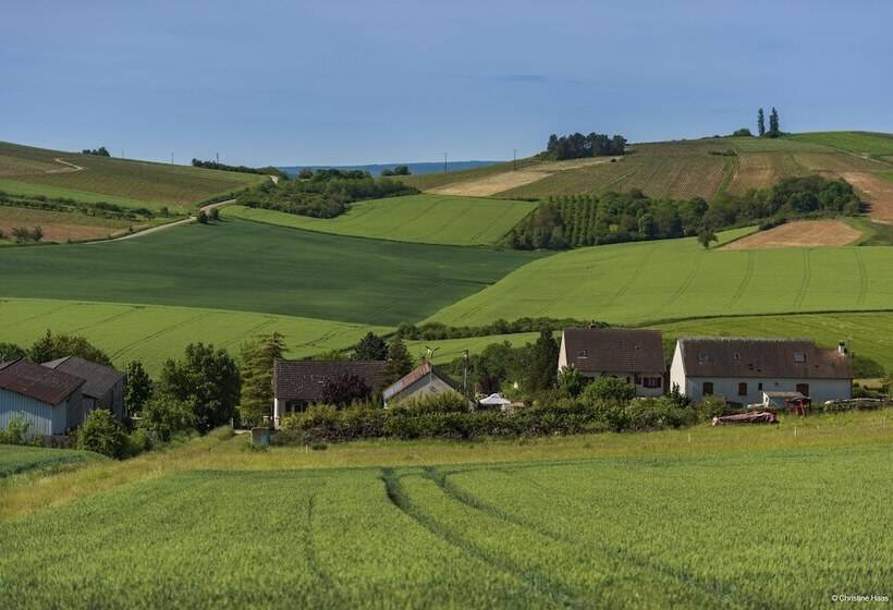 فندق Cerise Auxerre