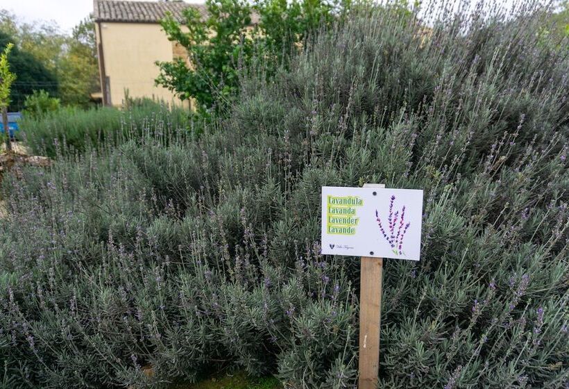 בית מלון כפרי Villa Trigona