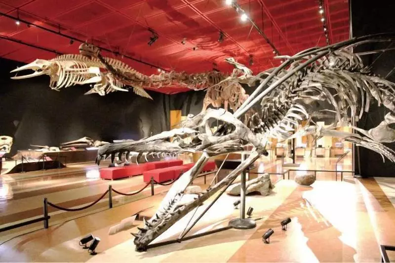 Hotelli Sunshine Iwaki