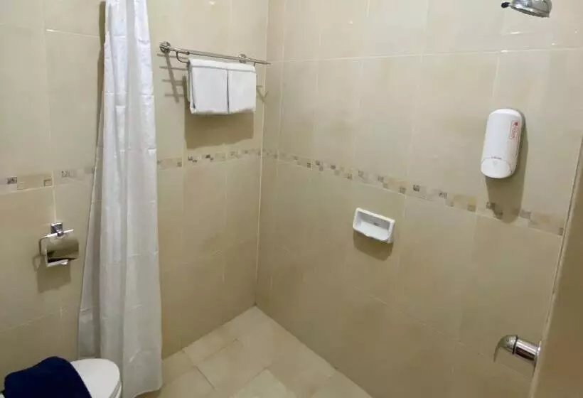 Hotel Tosan Solo Baru