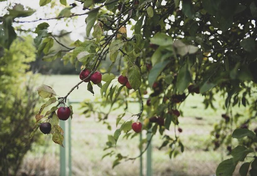 بنسيون Gîte Au Bout Du Verger