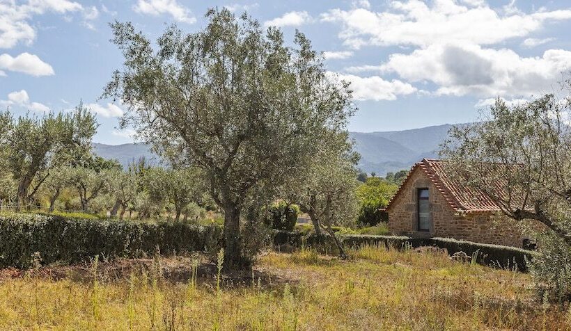 بنسيون Quinta Do Chão Da Vinha