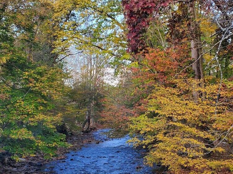 فندق Cozy Creek Cottages