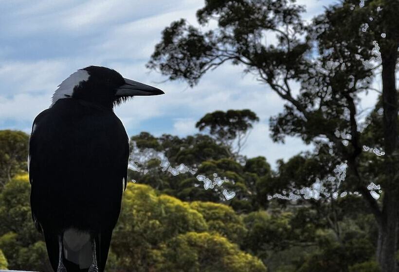 Отель Karriview