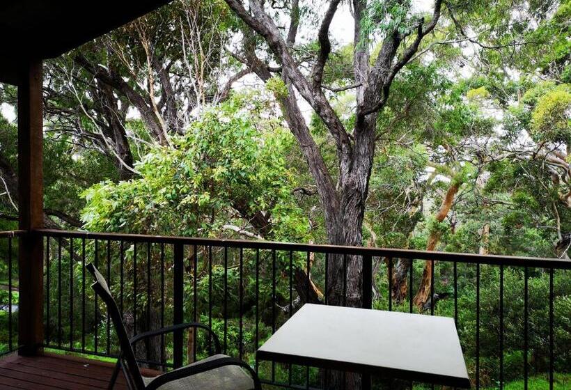 Отель Karriview