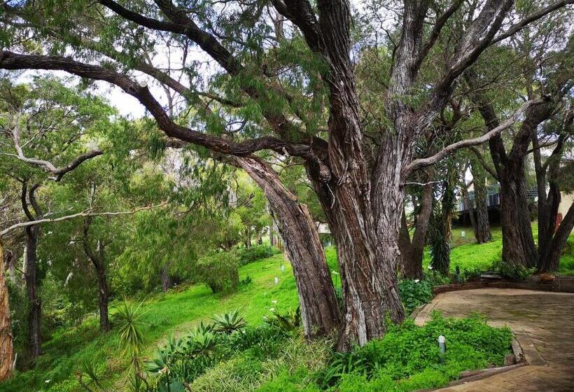 Отель Karriview