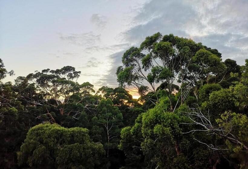 Отель Karriview