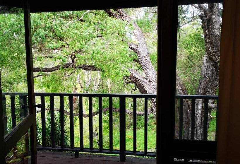 Отель Karriview