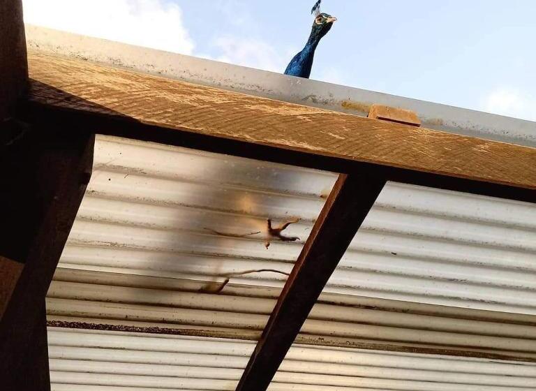 Отель Karriview