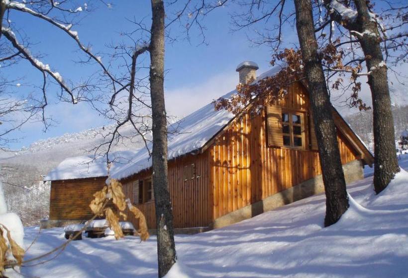 پانسیون Guest House Tara Canyon