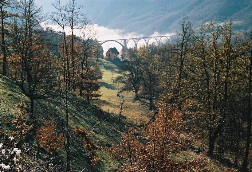 پانسیون Guest House Tara Canyon