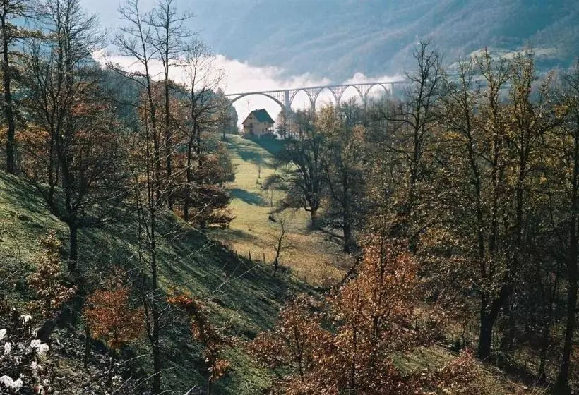 پانسیون Guest House Tara Canyon