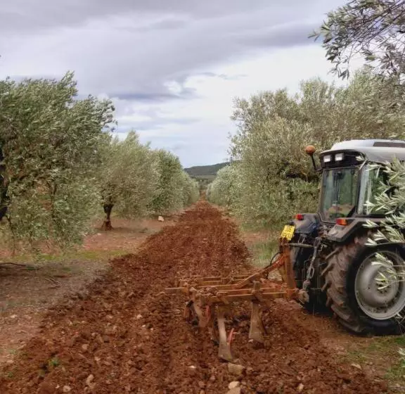 ベッドアンドブレックファースト Escale Au Salagou