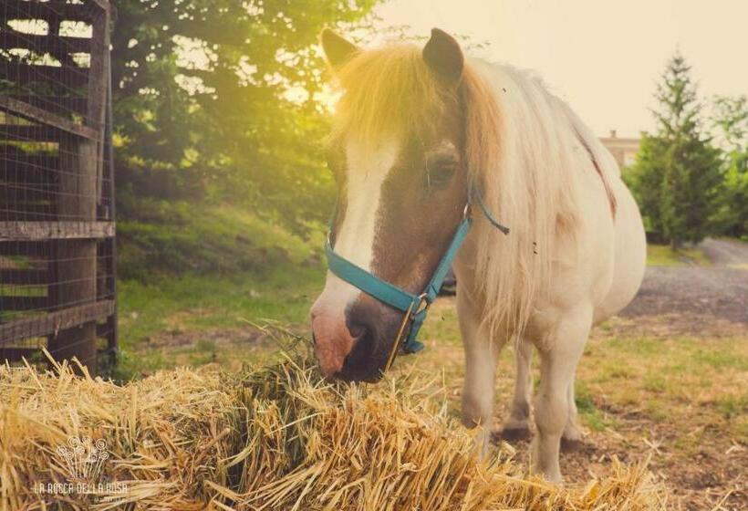 Отель La Rocca Della Rosa
