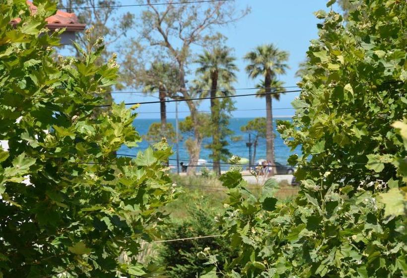 Lungomare Private Rooms