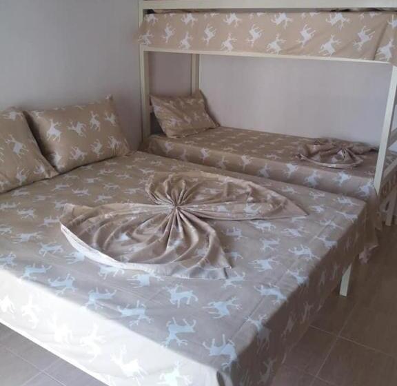 پانسیون Alberti