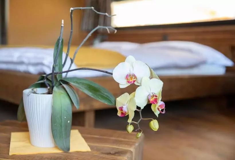 Aamiaismajoitus (B&B) La Tzavane