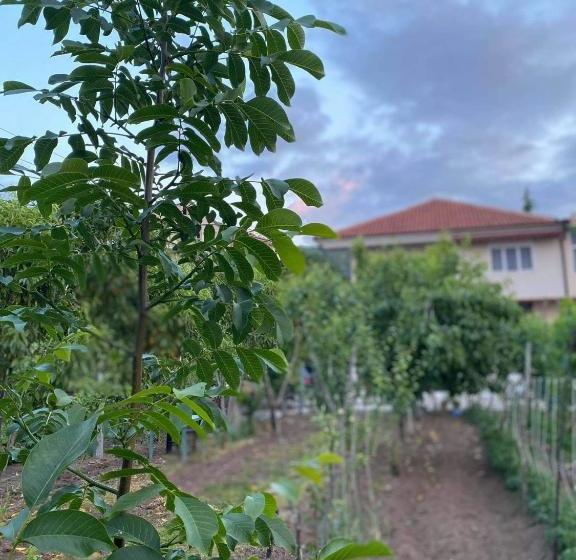 膳宿费 Bujtina Gjyshi Ilo