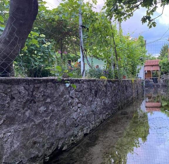 膳宿费 Bujtina Gjyshi Ilo