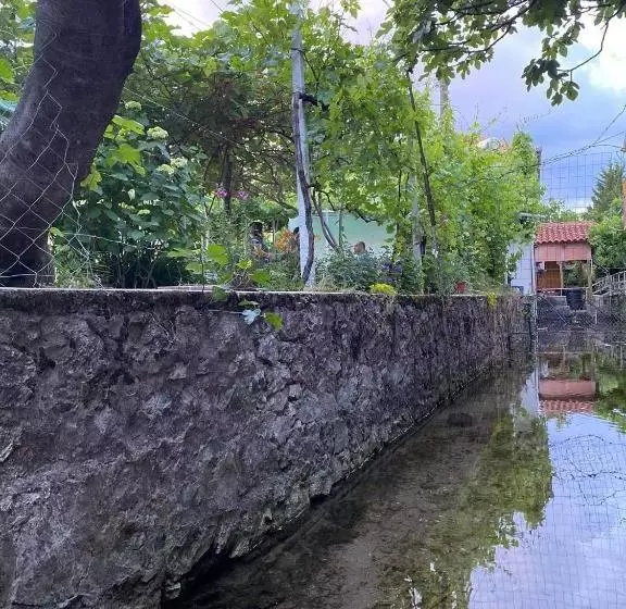 ペンション Bujtina Gjyshi Ilo