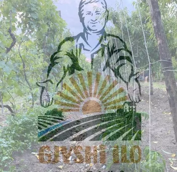 ペンション Bujtina Gjyshi Ilo