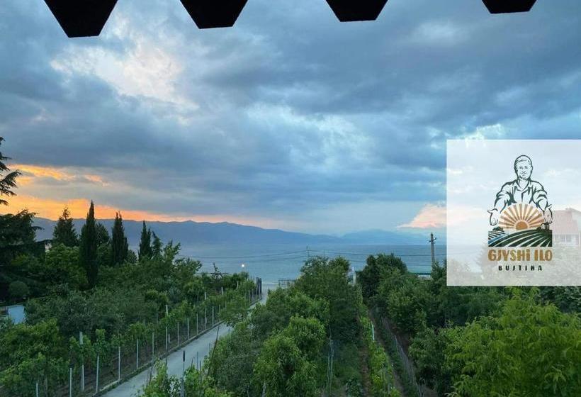 膳宿费 Bujtina Gjyshi Ilo