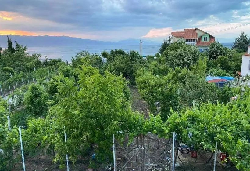 ペンション Bujtina Gjyshi Ilo