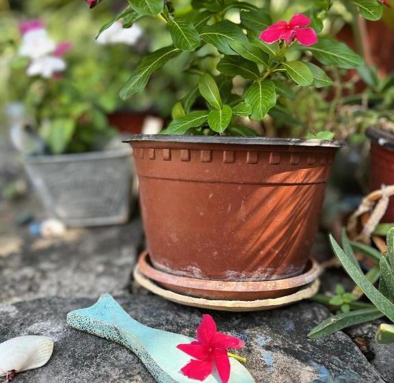 پانسیون Healthystudio512 Apartments