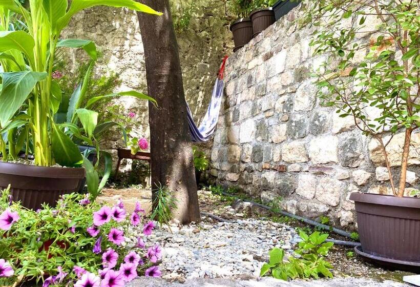 پانسیون Healthystudio512 Apartments