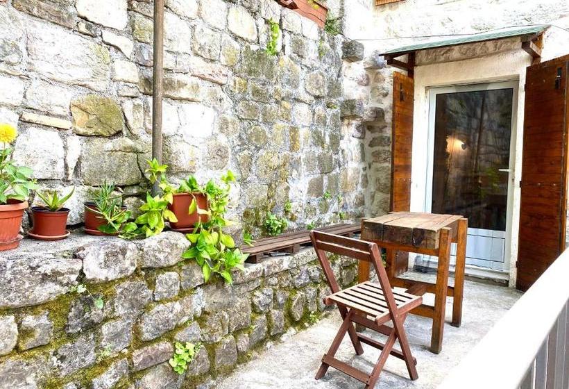 پانسیون Healthystudio512 Apartments