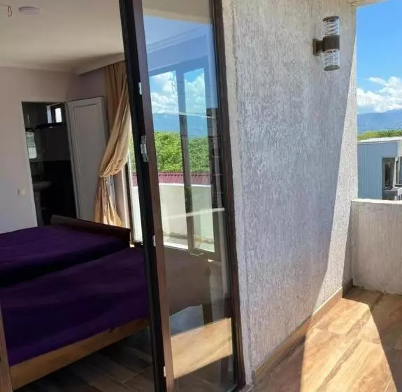 پانسیون Tiktok House