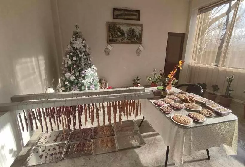 پانسیون Tiktok House