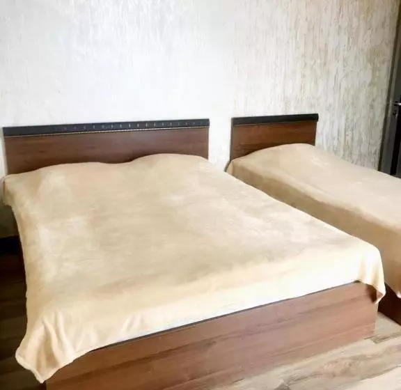 پانسیون Tiktok House