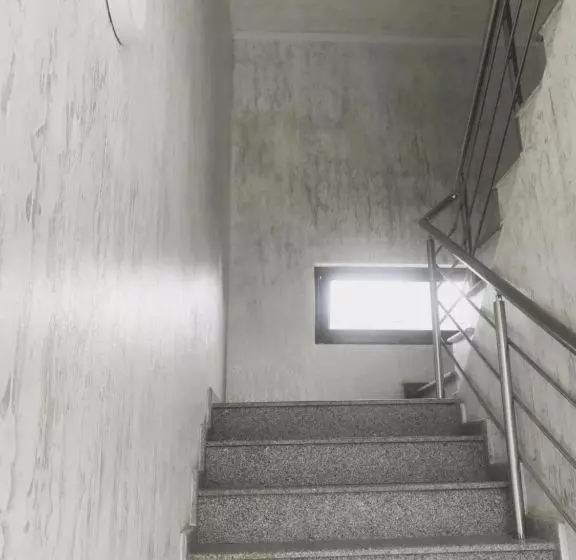 پانسیون Tiktok House