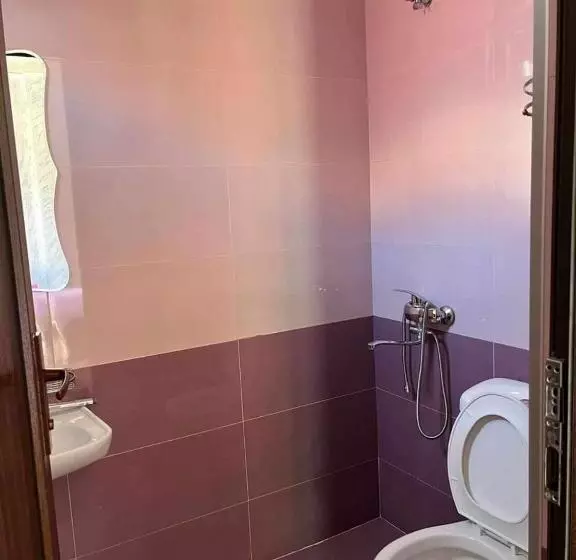 پانسیون Tiktok House